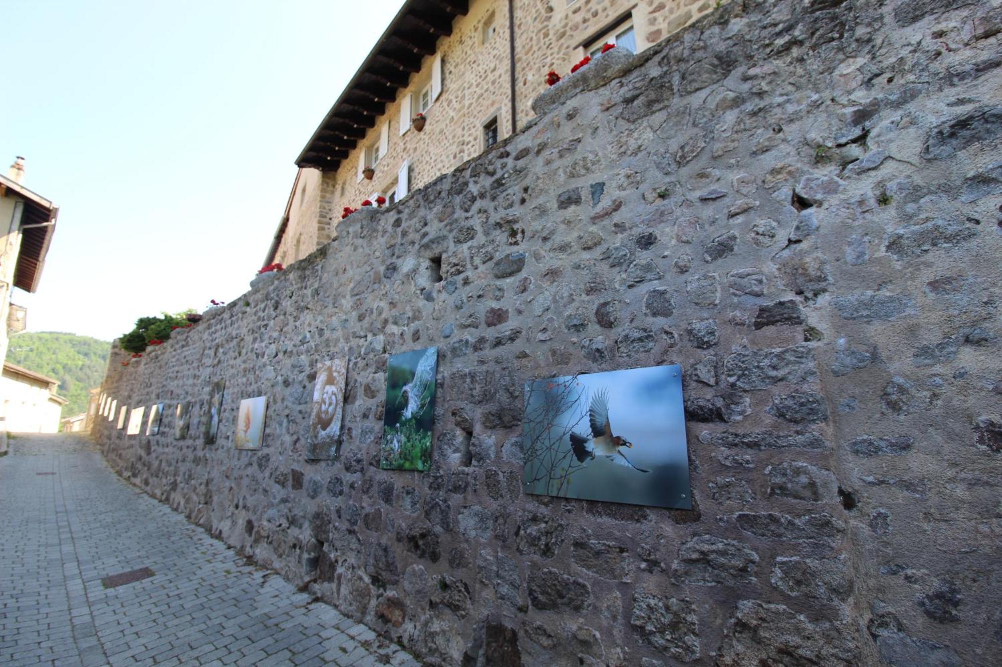 Appartamento Zenlife Aurec-Sur-Loire Esterno foto