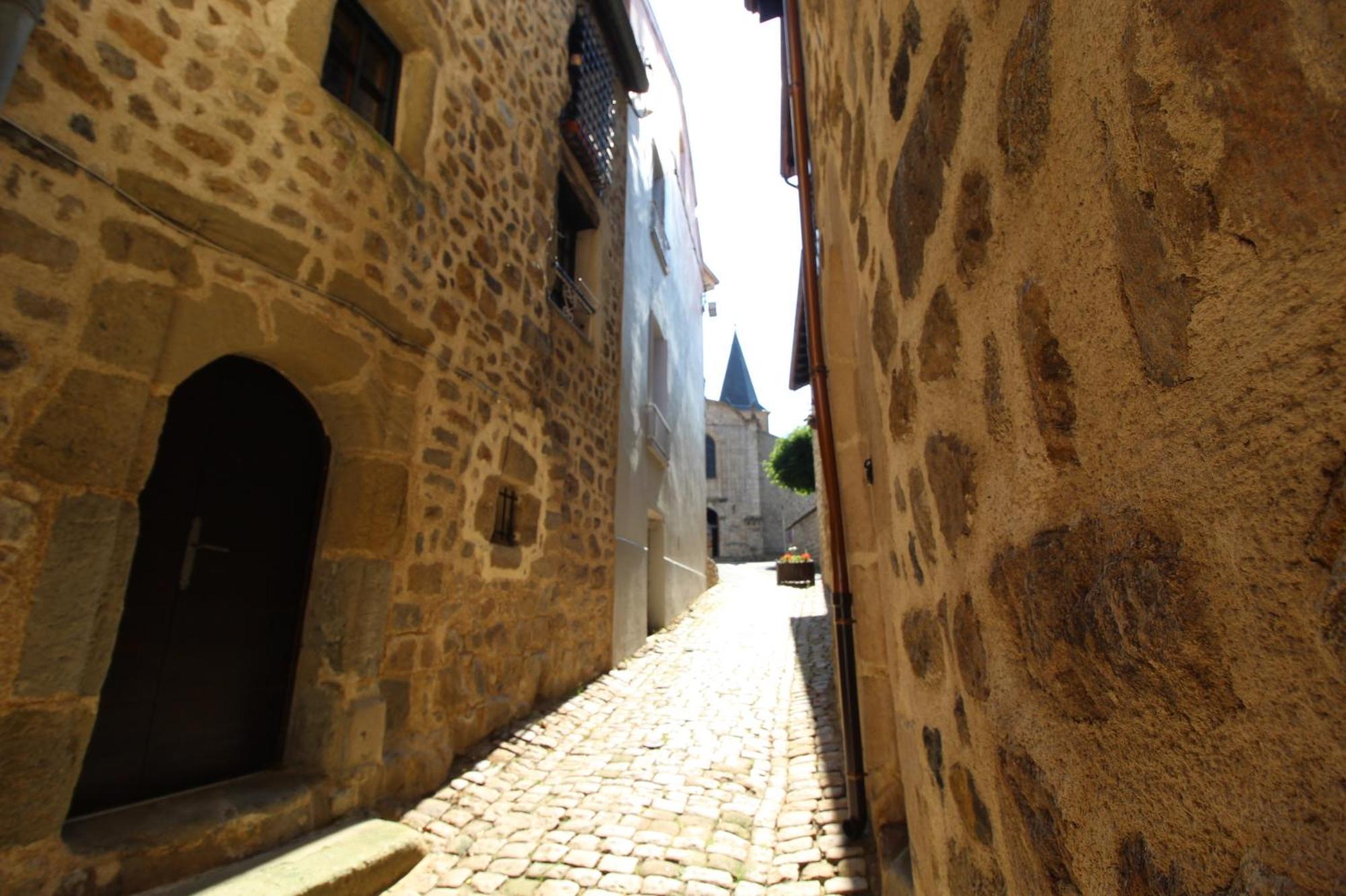 Appartamento Zenlife Aurec-Sur-Loire Esterno foto