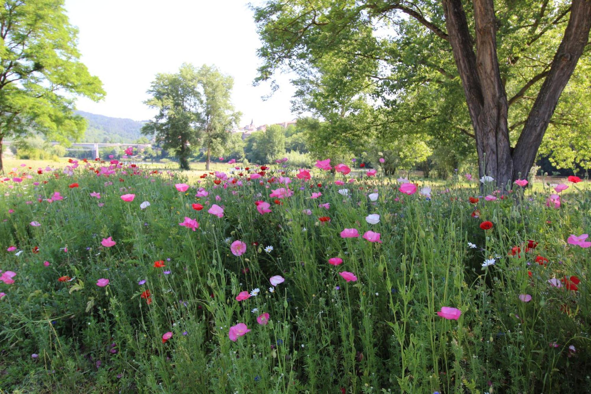 Appartamento Zenlife Aurec-Sur-Loire Esterno foto