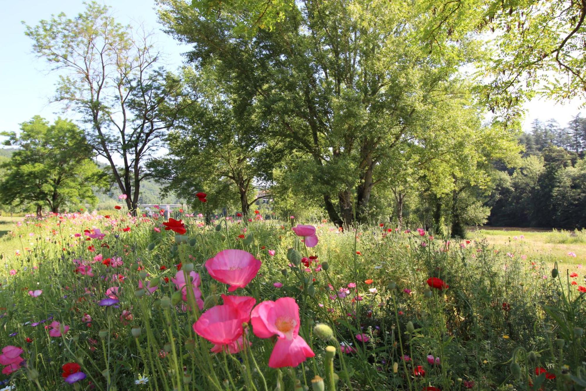 Appartamento Zenlife Aurec-Sur-Loire Esterno foto