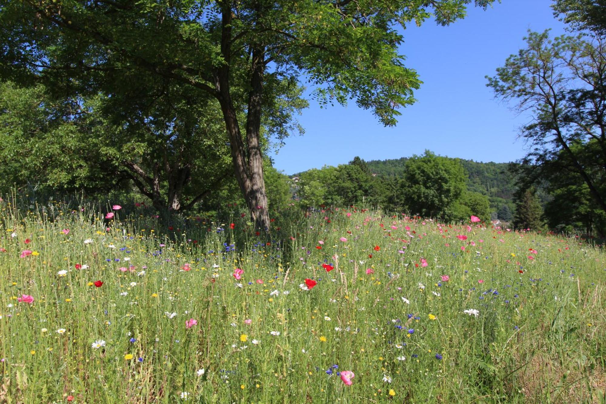 Appartamento Zenlife Aurec-Sur-Loire Esterno foto